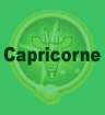 Capricorne