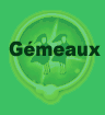 Gemeaux